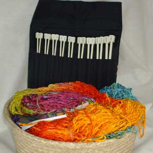 Bryspun Knitting Needle Set - 10 inch
