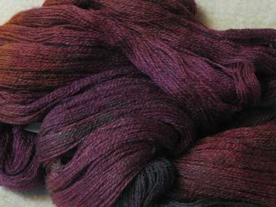 Winter Lace - Red Willow