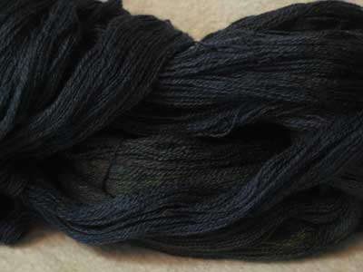 Winter Lace - Wild Horse