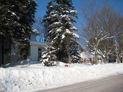 Snow Contest Snow Contest