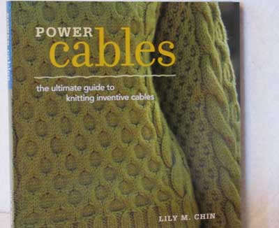 Power Cables by Lily Chin